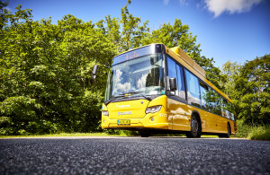 Rejs med vores busser